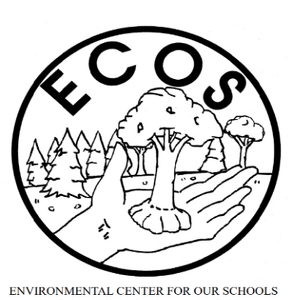 Team Page: ECOS@Forest Park: Springfield, MA